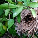 일남농장 이미지