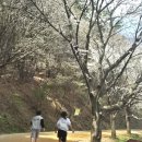 이마트24송남휴게소점