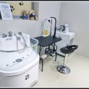 도그노리터 이미지