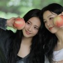하이;지수