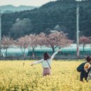 유채네일 이미지