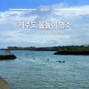 사항포구 공중화장실 | 제주 물놀이 스노쿨링 명소 포인트 추천 | 판포방파제 판포포구