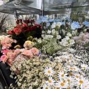 자산동273 | 마음까지 싱그러워지는 <광주 꽃집> 후기