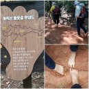 6 월 버스도보 "대전 / 계족산성 & 황톳길" 걷기 공지 이미지