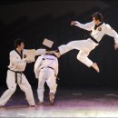 월드타이거즈 이미지