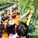 새라 어린이집 이미지