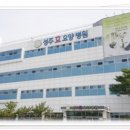 덕수의료재단성주효요양병원 네이버블로그