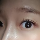 다옴뷰티 이미지