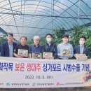 코리아보은대추협동조합 이미지