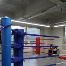 와일드 짐 이미지