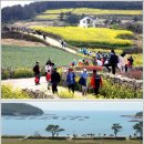 시인의섬 이미지