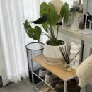 여수신기동우체국 이미지