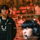 코리아타이거체육관 이미지