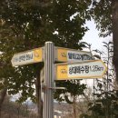 말티와 꼬꼬 네이버블로그