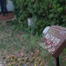 해밀조경(주) 이미지