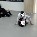 풀빌라써밋 | 🌊 콩콩이의 일상 – 보령 풀빌라 여행하고, 대전 주짓수로 마무리한 주말