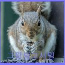 그랑빌고시텔
