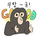 웨스트민스터포항애견미용학원