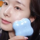 삐삐애견샵 | 에뛰드 클라우드 필터 쿠션 지속력 수정화장 솔직후기 +건성피부 21호 기준