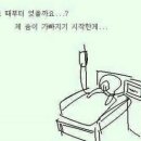 브라우니70 이미지