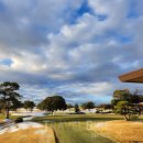 서수원자이(아) 이미지