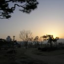 새천년생명의숲 이미지