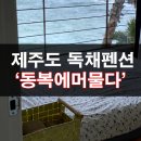 동복에 머물다 | 제주도 구좌읍 월정리해수욕장 근처 독채펜션! 동복에머물다.