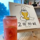 고미커피 이미지