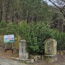 개나리꽃농원 이미지