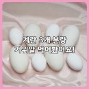낭만기타 | 낭만기러기 거위알 효능｜초란으로 즐긴 크리미한 거위알요리 솔직후기