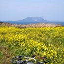 봉봉하우스 이미지