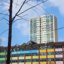 초림초등학교 이미지