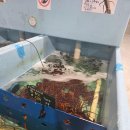 빅토리수산 | 🦀 브리즈번 수산시장 리얼 후기: 살아있는 랍스터부터 사시미까지! Sumner Seafood 방문 & 게찜 대성공기