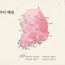 지도 왕벚나무길 이미지