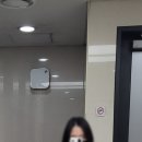 메젠손세차 이미지