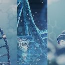 주식회사 클라우드메디 이미지