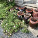 절골식당 이미지