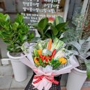 레몬트리농산물