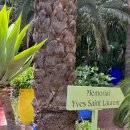 챔피언마트 이미지