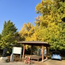 럭키1 경로당 이미지