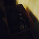 PLAY 소통가족 | 다낭 미케비치 네일샵 &amp; 마사지 한 번에 가능한 하나 스파 1309 솔직후기