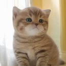 칠곡종합동물병원 이미지