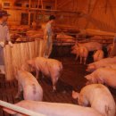 만해농장 이미지