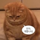 더캡슐 명동 | 더캡슐 명동점 숙박 후기.