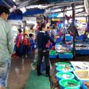 주문진수산시장 이미지