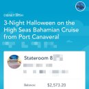 D00727 | 결혼준비 08 - 뉴욕 &amp; 올랜도 신혼여행 준비하기✈ (디즈니월드 / 디즈니크루즈 예약)