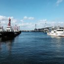 민들레 행정사 이미지