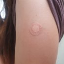 독감백신 접종 후기 4가백신 플루아릭스테트라 독감백신은 지금 맞아야 한다고?