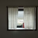 평대 모살코지 이미지