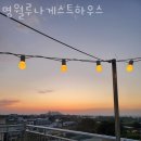 명월루나게스트하우스 | 제주도게스트하우스 명월루나게스트하우스 제주봄꽃축제 가까운 가성비숙소